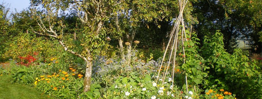 The Edible Park OTEMACHI