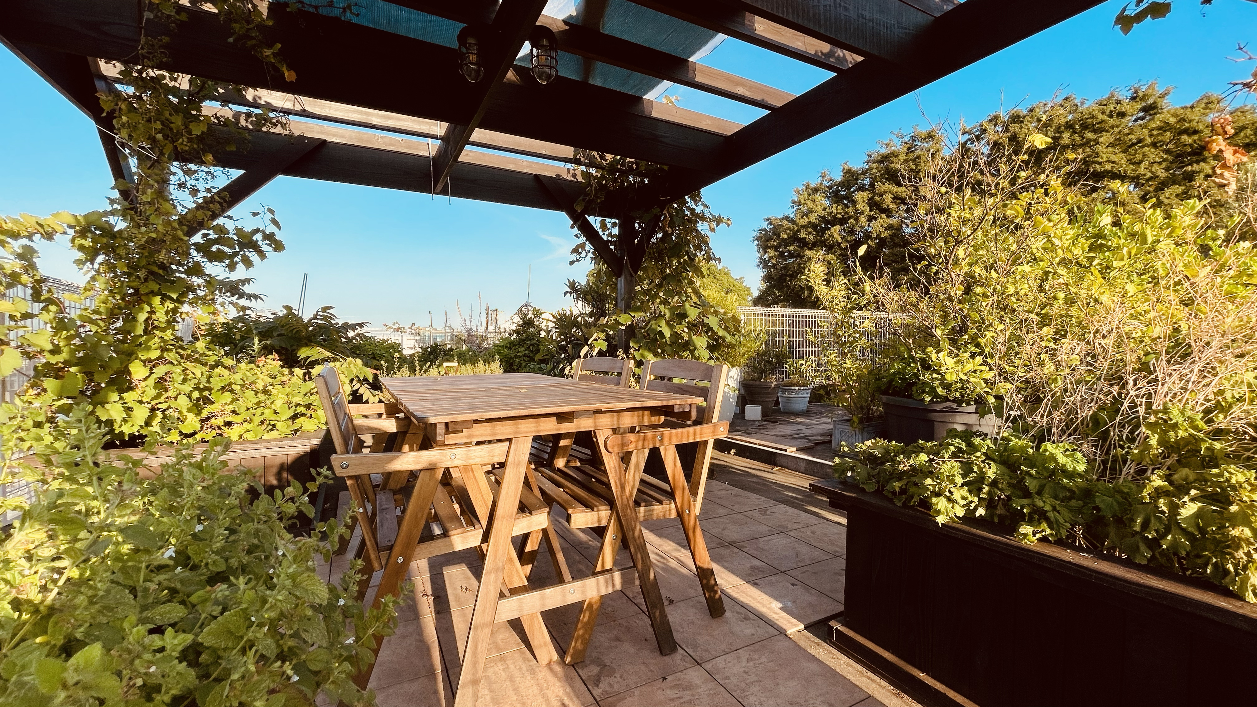 Poop Man's Art Garden