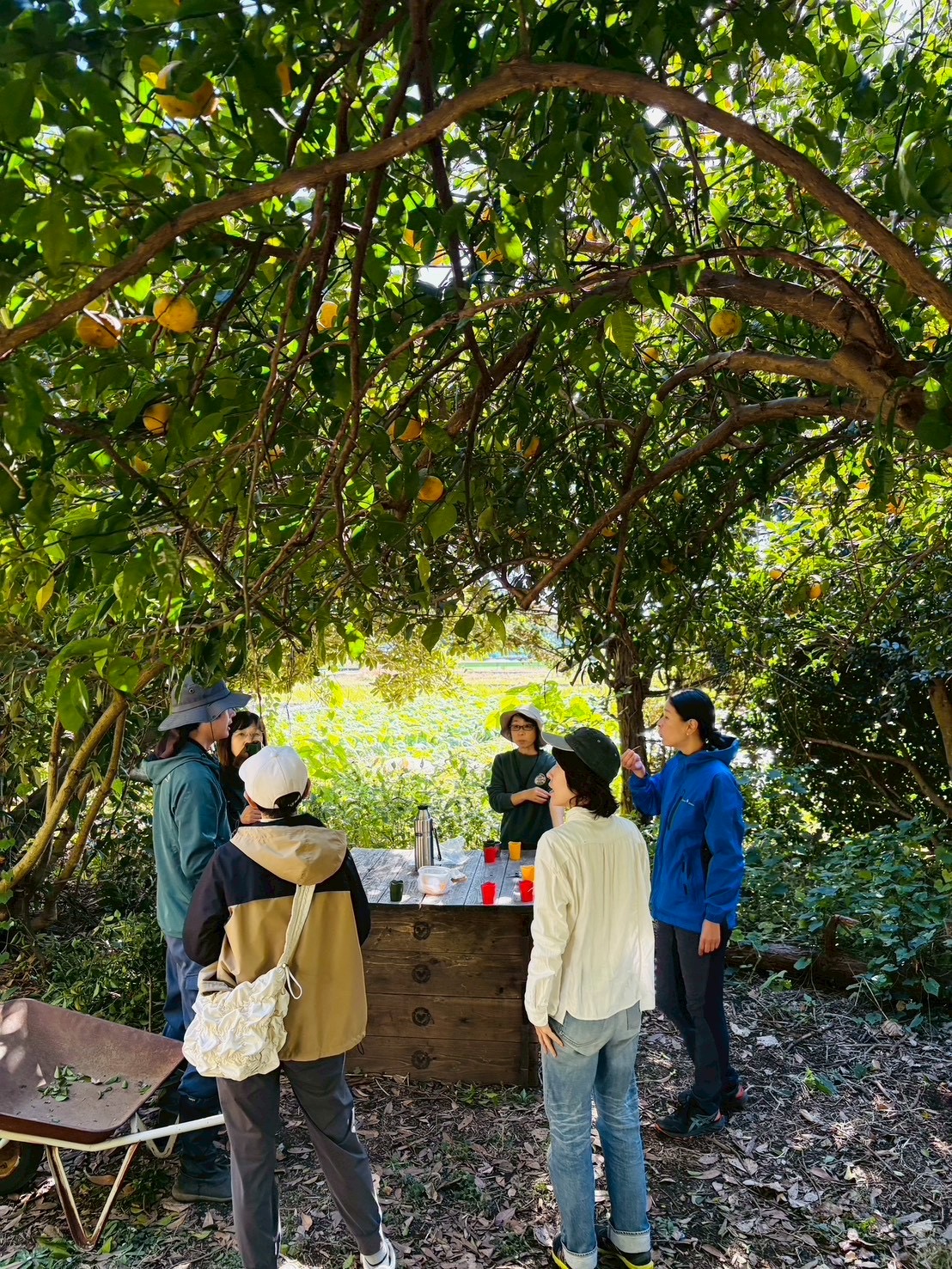 SATOYAMA BASE JINDAIJI