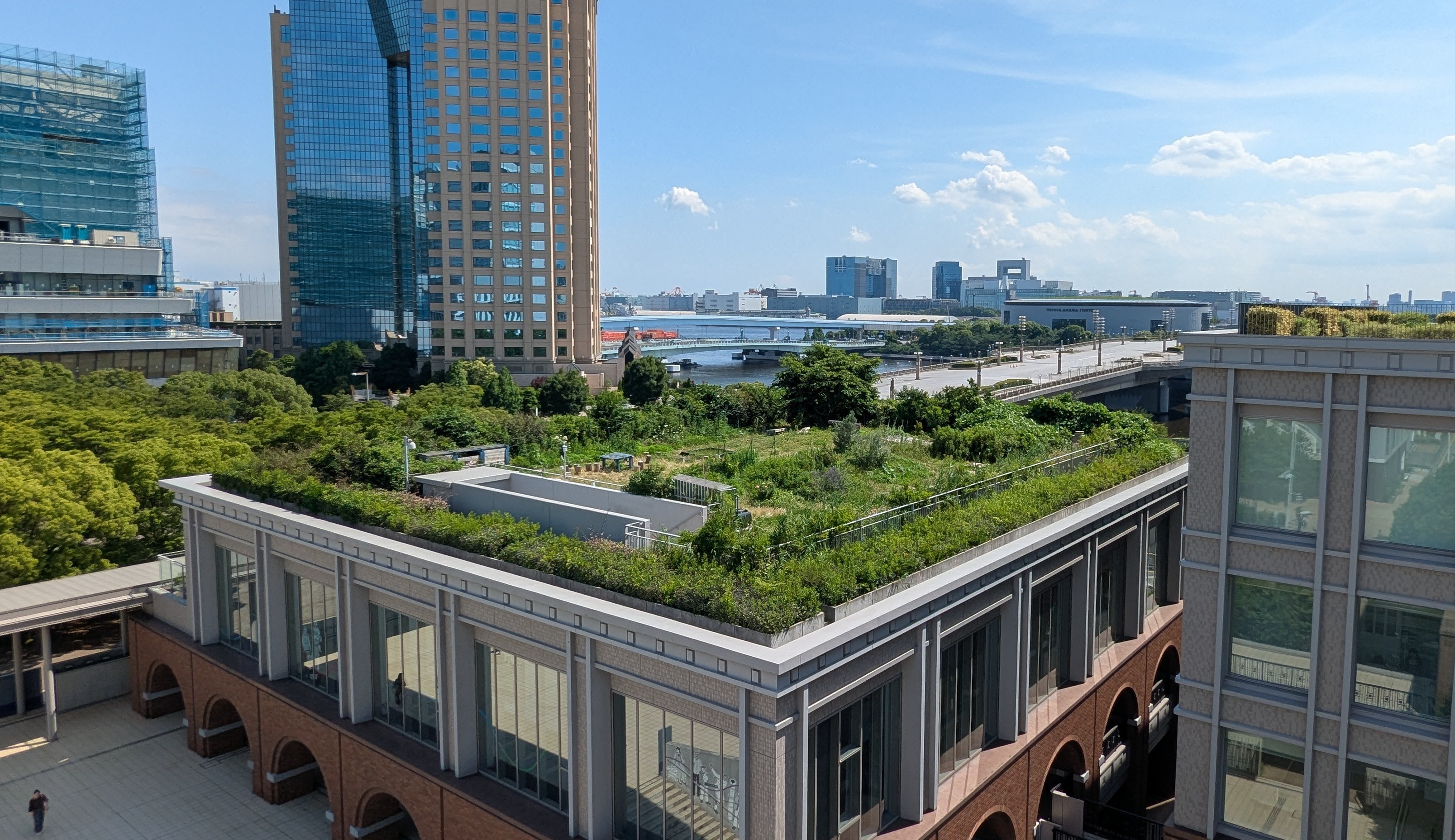 有明rooftopコモンズ