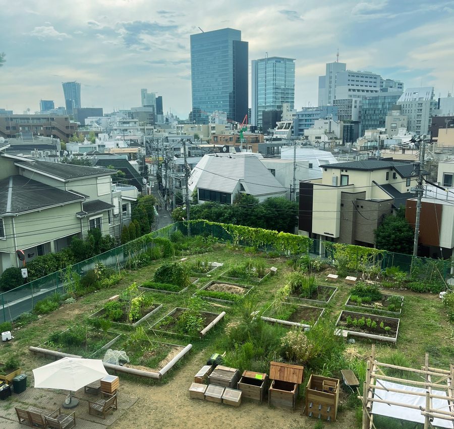 原宿はらっぱファーム